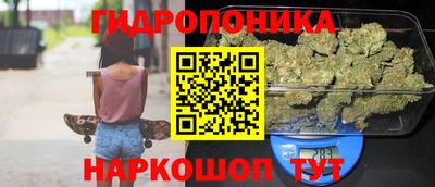 spice Гатчина
