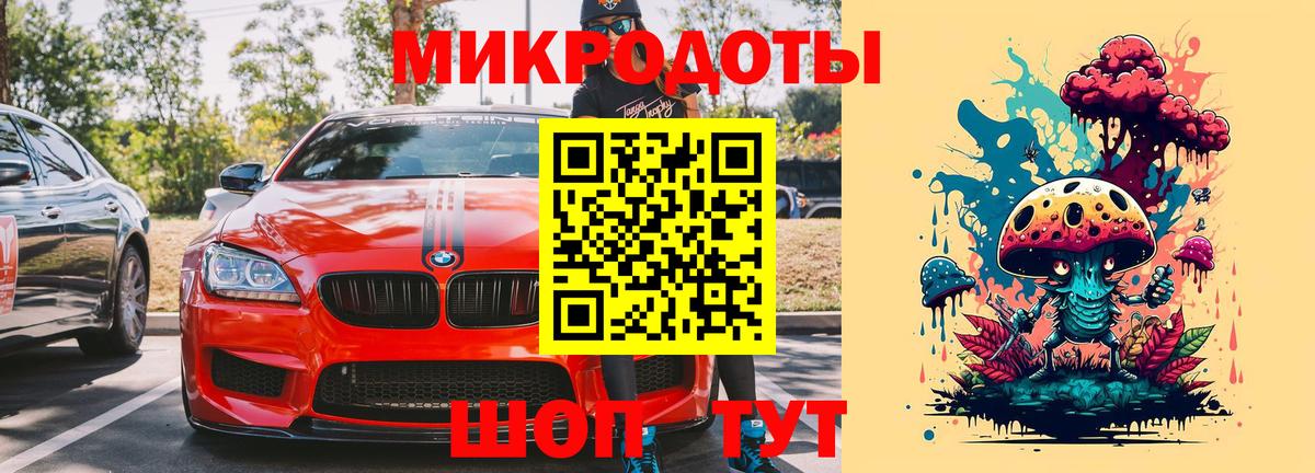 Галлюциногенные грибы Psilocybe Лыткарино