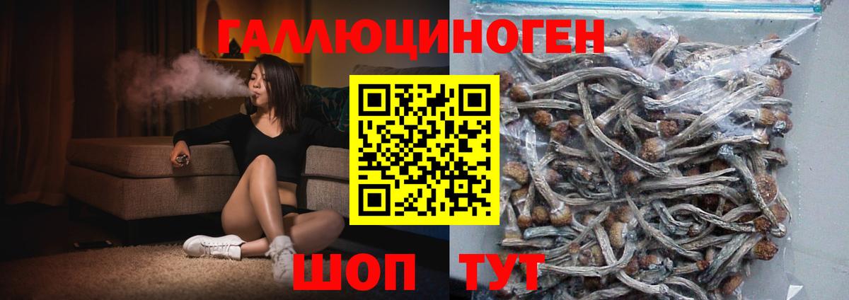 Псилоцибиновые грибы мицелий  Вход с VPN  Псилоцибиновые грибы Magic Shrooms  Лыткарино 